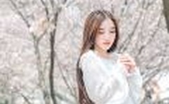 强奷漂亮少妇高潮A片在线播放